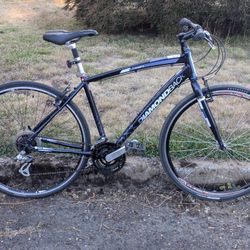 Diamondback Insight 19" Large Frame Hybrid Bicycle 