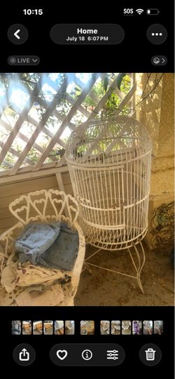 Bird cage