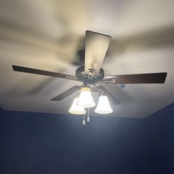 Ceiling Light/Fan
