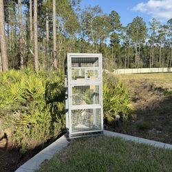 Bird Cage 