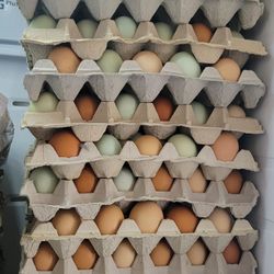 Cages Free Eggs, Home Grown