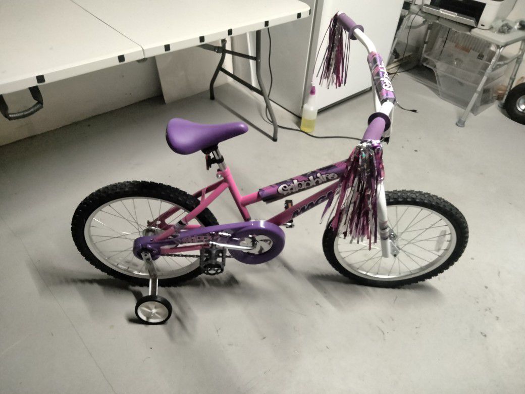 Girls 20 Inch Bicycle