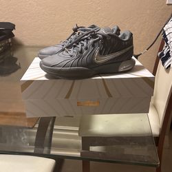 LeBron 21 Cool Grey 7.5