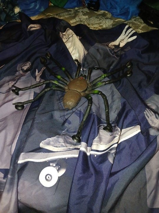 Spider Toy