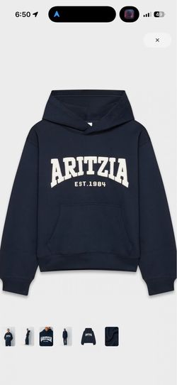 Aritzia Hoodie