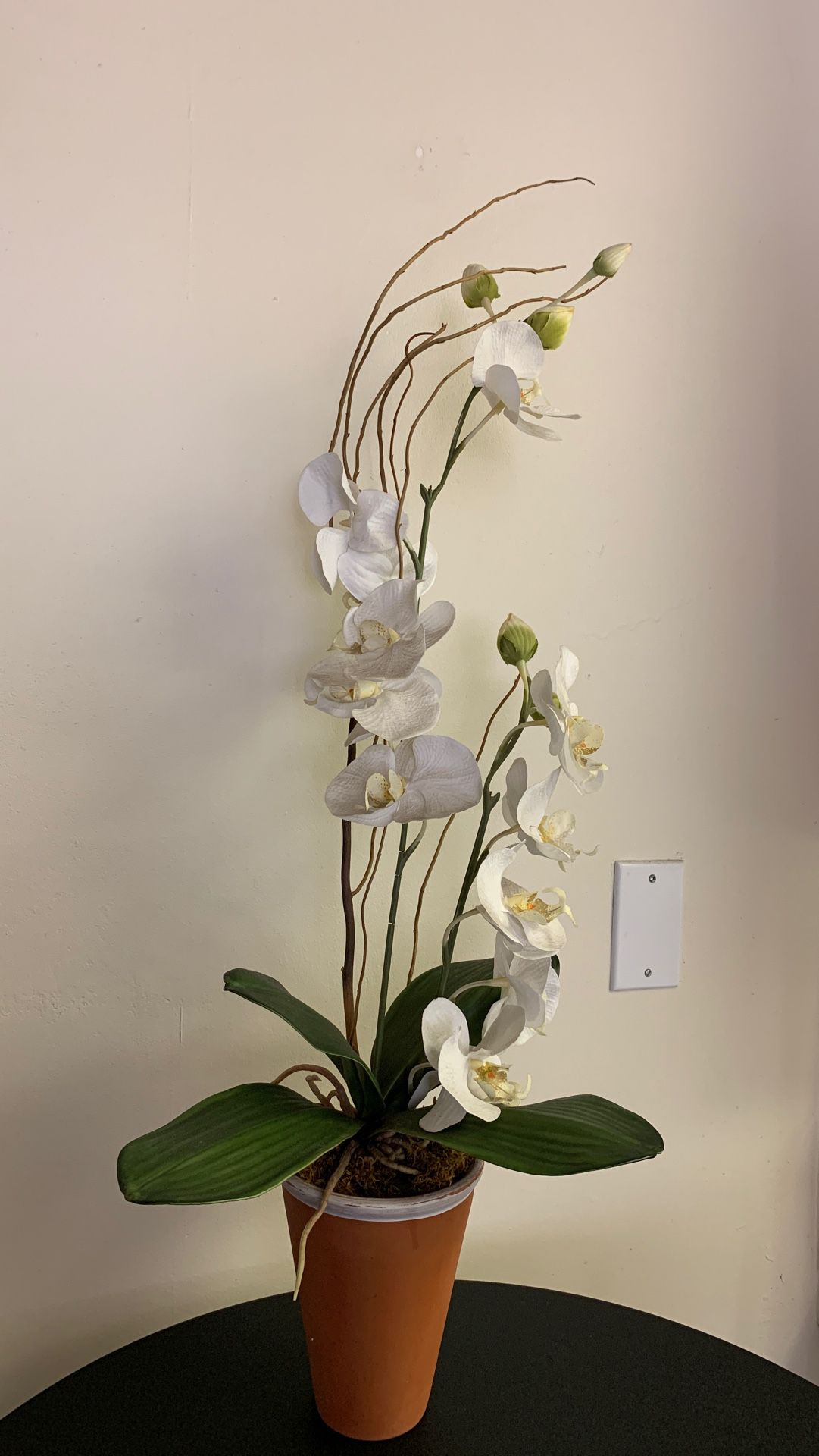 Fake orchid plant