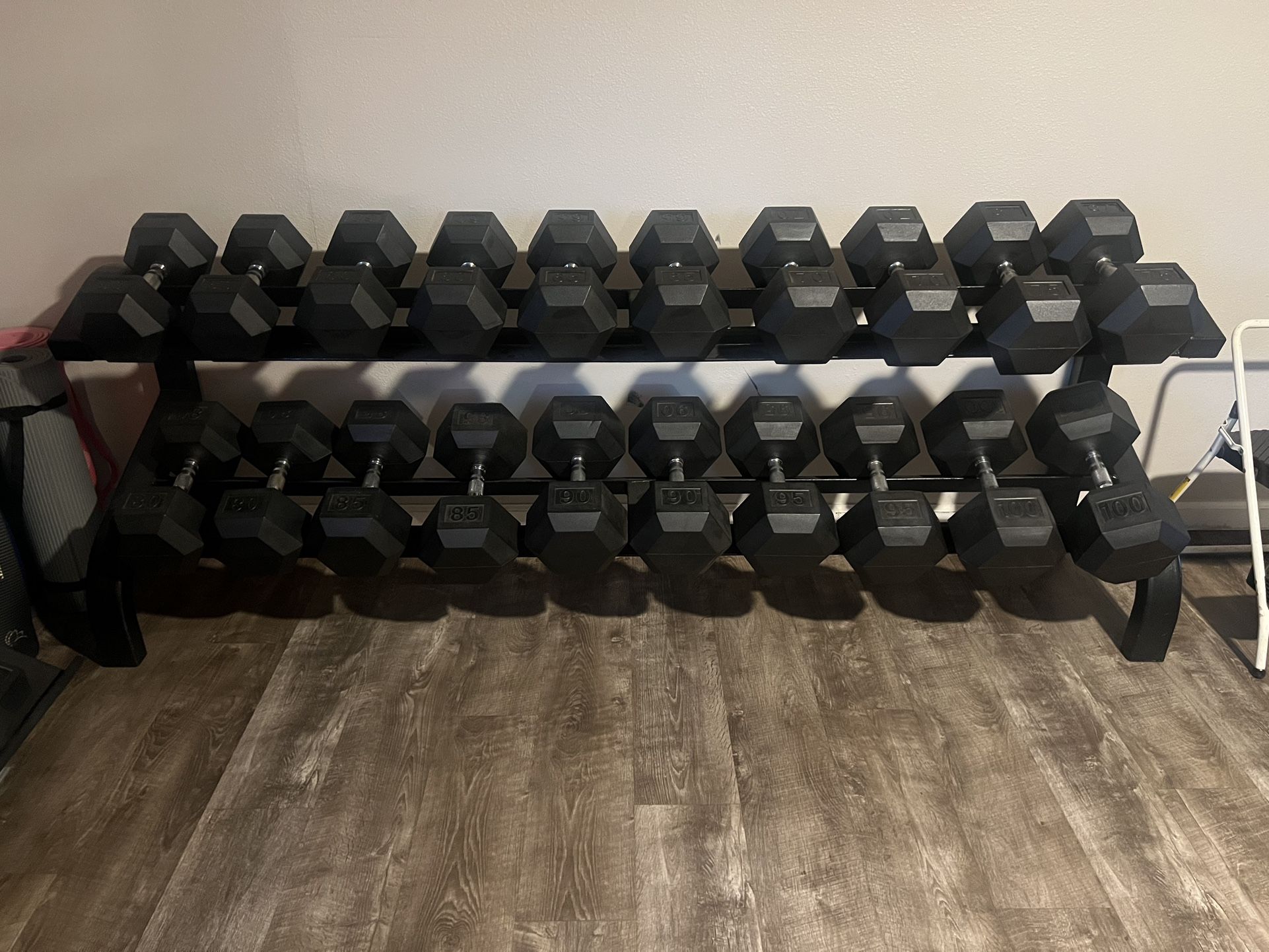 Silver handle Dumbbells 50-100 Pounds With Rack