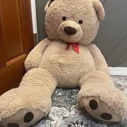 Extra Large Teddy Bear