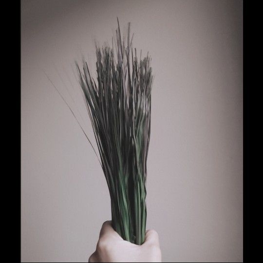 Grass Steams