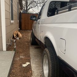 Ford F-150 Cowboys Edition badges (3) for Sale in Dallas, TX - OfferUp