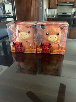 Highland cow