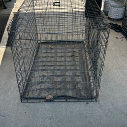 Free Dog Kennel 