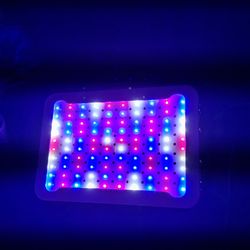Grow Light