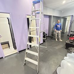 12 Step Ladder WERNER 