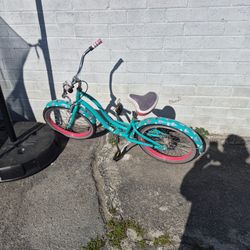 Ice Cream Beach Cruiser 20 In