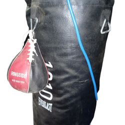 Speed Bag N Punching Bag