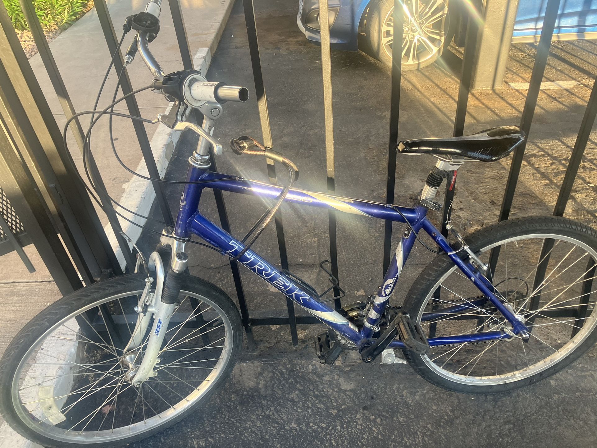 Adult bike