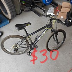 Mongoose Excursion 24" Mountain Bike