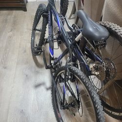 Trek Mountainbike