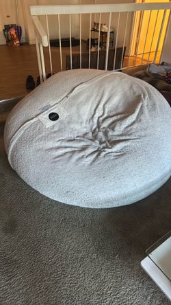 Beanbag/Love Sack