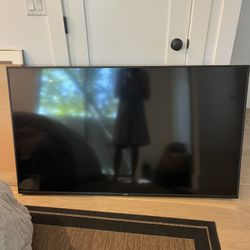 65 Inch Flat Screen TV