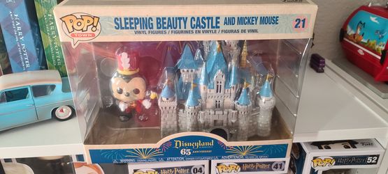 Sleeping Beauty Castle With Mickey
