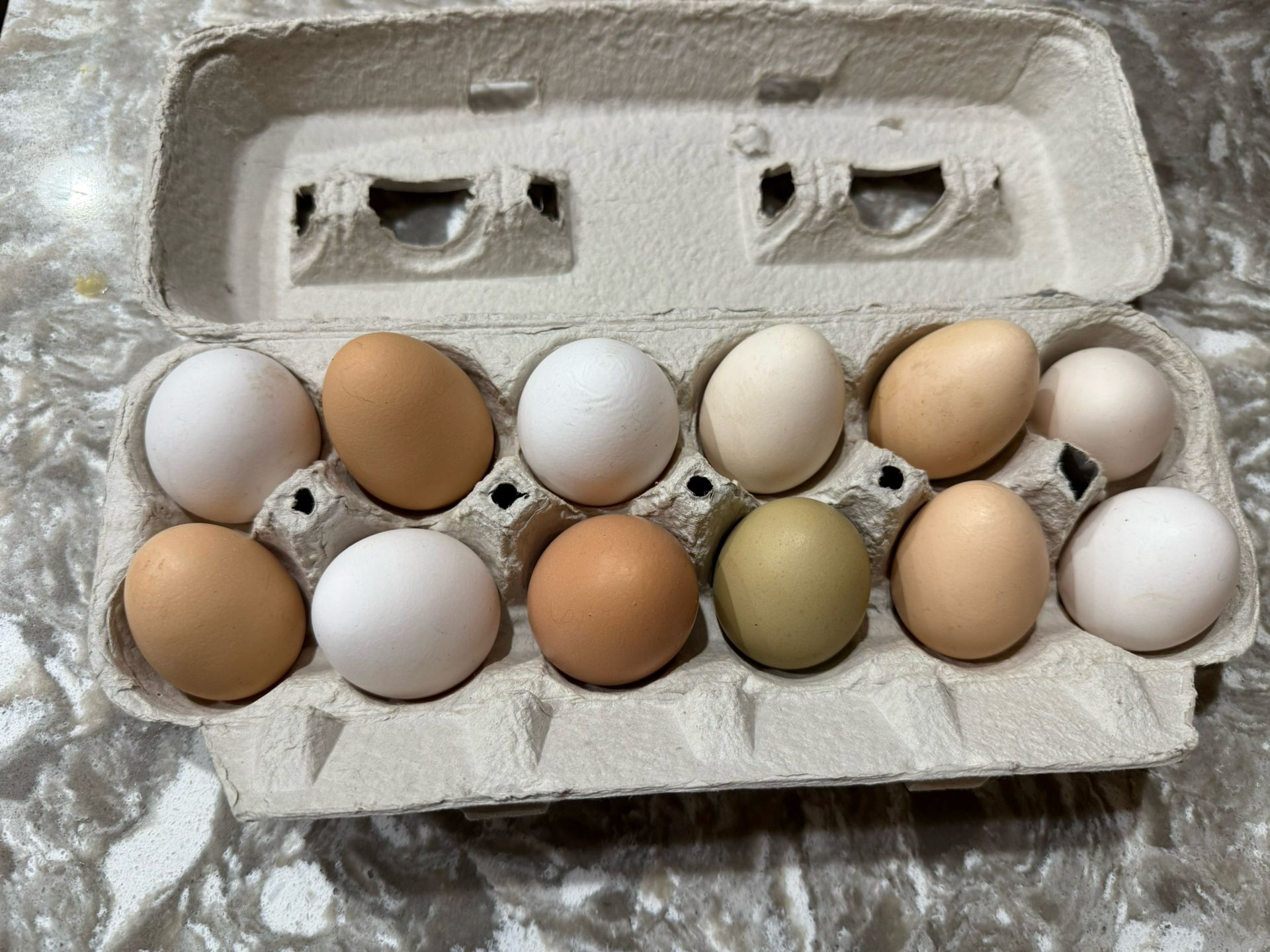 Farm Fresh Eggs
