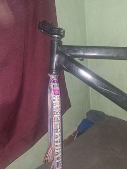 Se frame