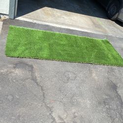 Artificial Grass