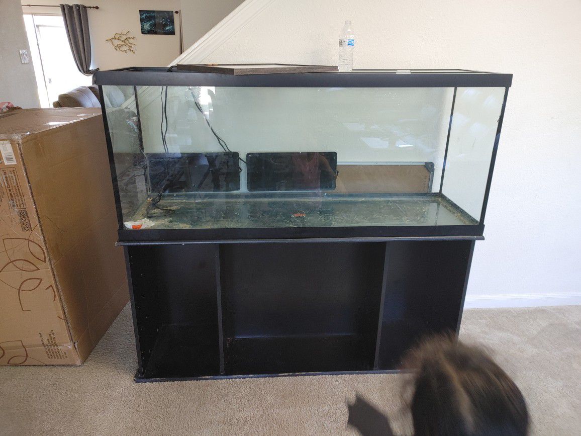 Fish tank / reptile ( need to sell)