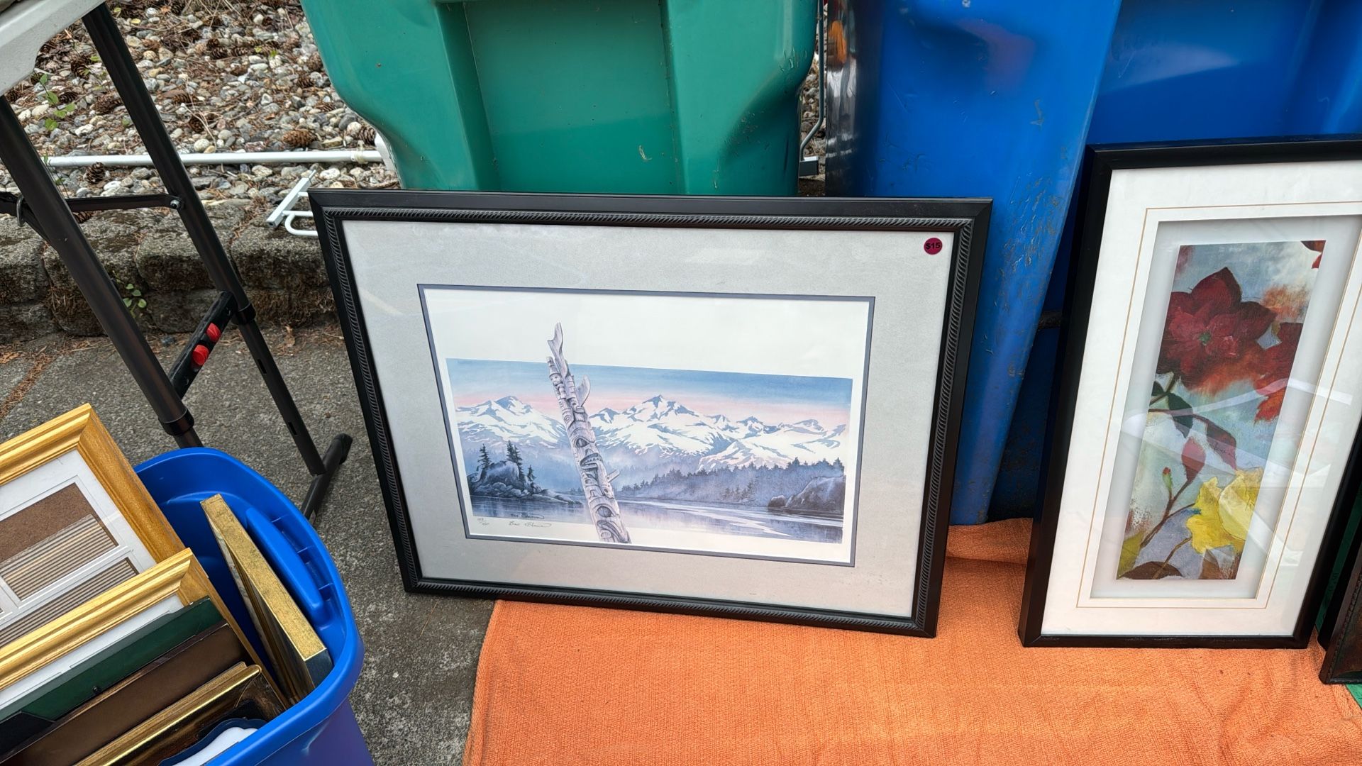 Sue Coleman Framed Print Large