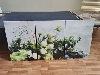 3-Piece Botanical Floral Canvas Wall Art Set (24" x 36" Each)
