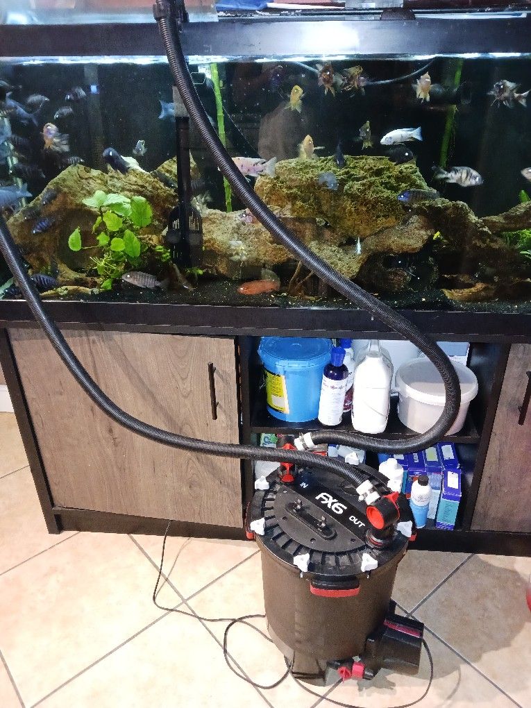 Aquarium Canister Filter Fluval Fx6 