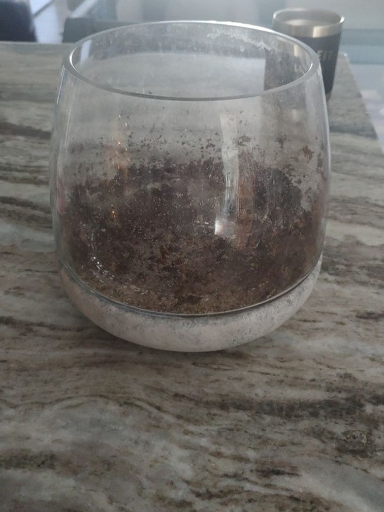 Large Ceramic Bottom Terranium