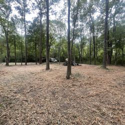 Underbrush Clearing 