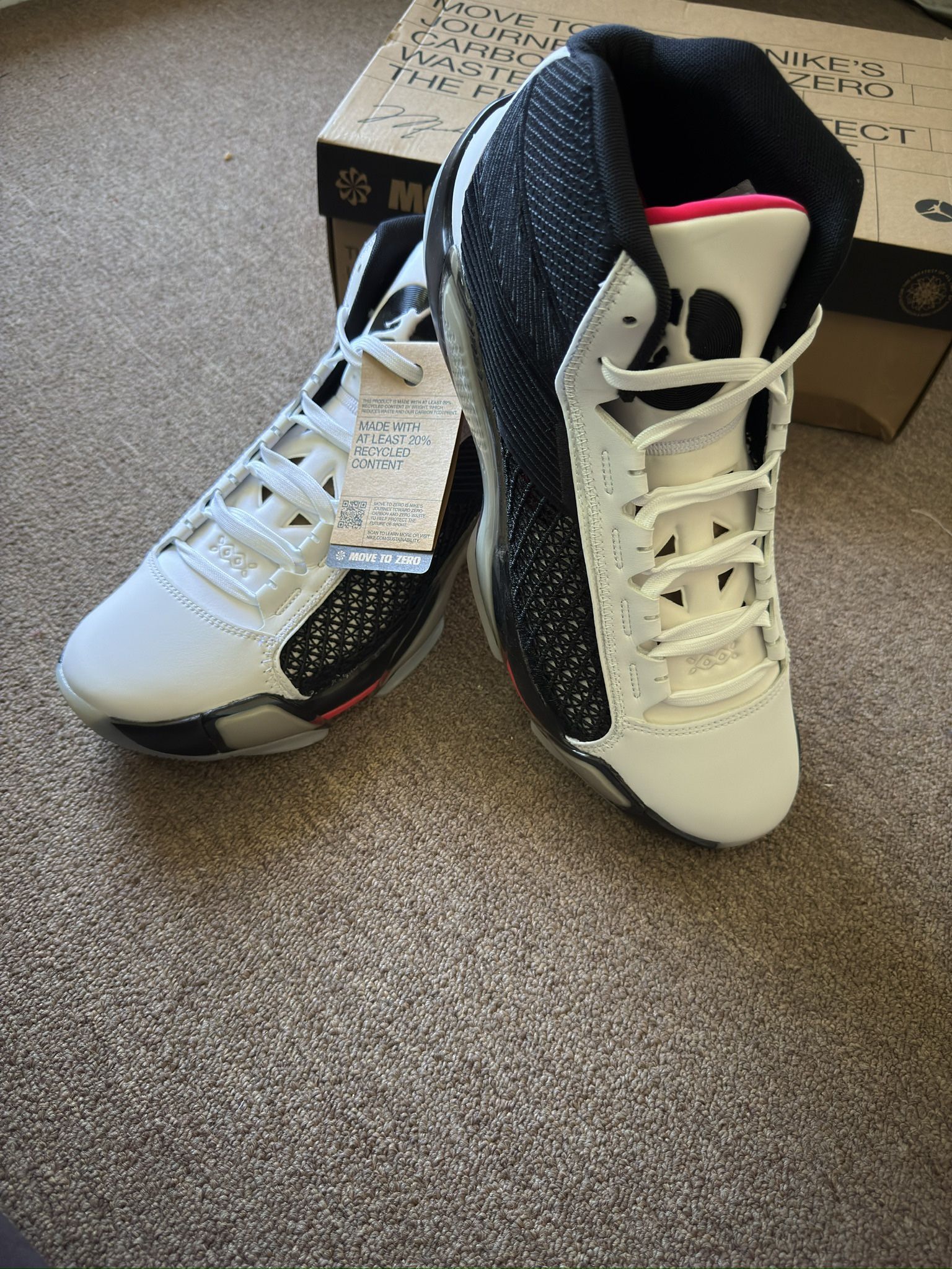 Air Jordan size 13