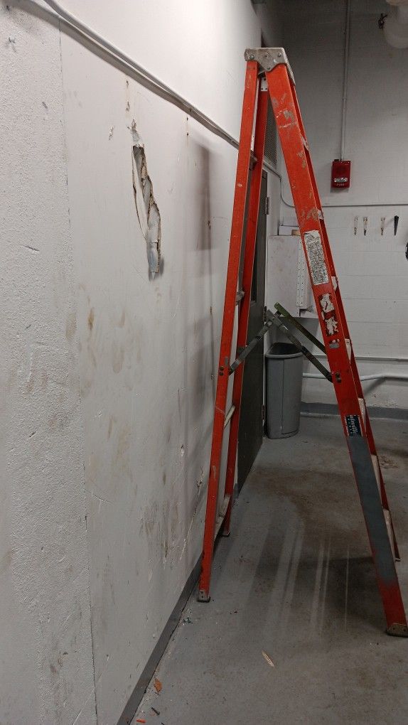8 Foot Ladder