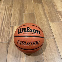 Wilson Evolution Ball