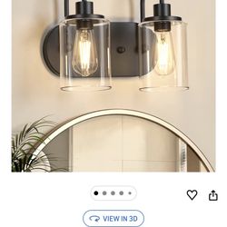 Black 2-Light Wall Sconce Vanity Light