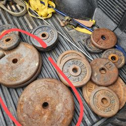 25lb Or 20lb  Gym Weights $30 Pair