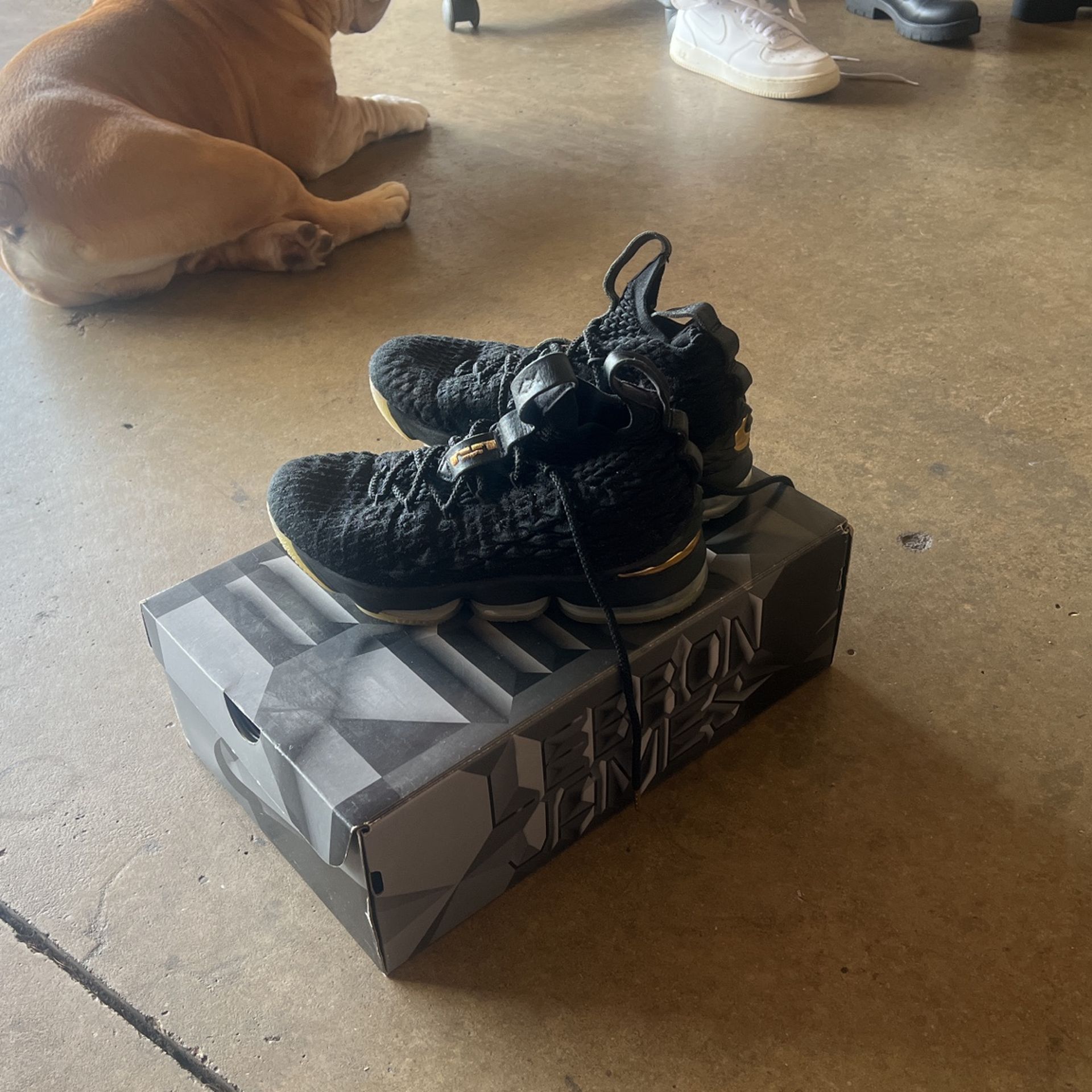 Basketball 6 1/2 LeBron