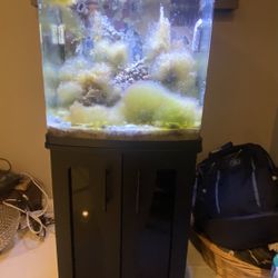 Bio cube 32 Gallon With Live Rock And Sand