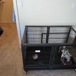 Dog Care Pick Up Only