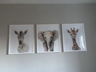 Poster pictures