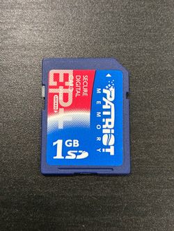 Patriot Memory 1GB SD Card for Nintendo Wii & More