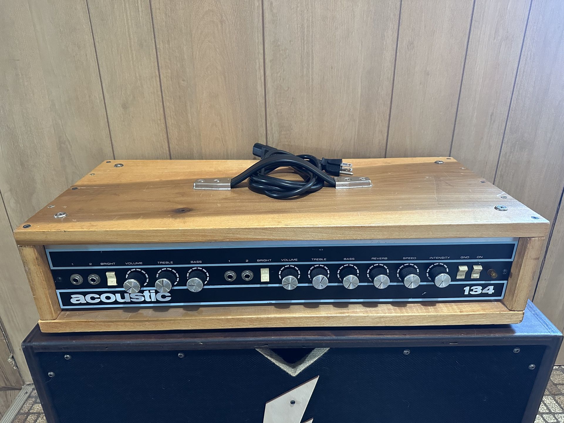 Acoustic 134 Bass/Guitar Head