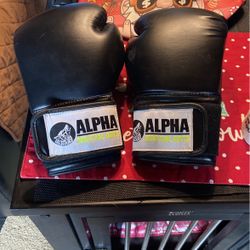 Used In Great Condition Martial Arts 12i Size 4 Gloves 
