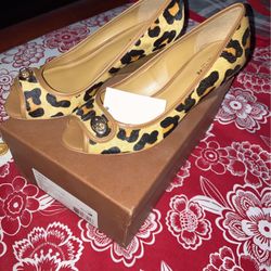 Coach Shoes