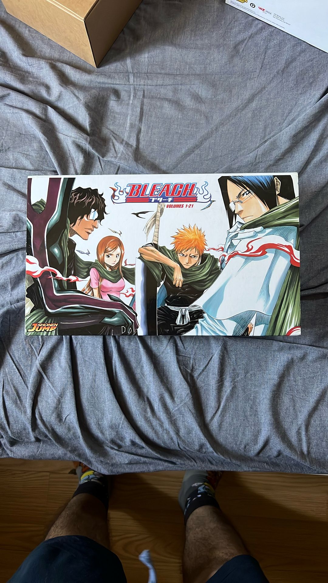 Bleach Manga