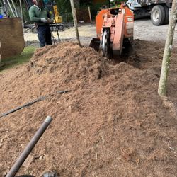 Stump Grinding 
